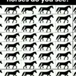 How Many Triangles Do You See – Your Answer Reveals Your True Personality