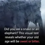 These are the consequences of sleeping with the… See more