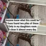 Clean And Remove Stains From Plastic Cutting Boards Without Chemicals