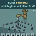 Can You Find All the Squares? A Classic Visual Brain Teaser