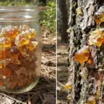 This Mysterious Item Has Left People Wondering About Its Purpose