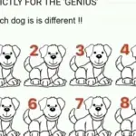 Test your IQ: Can you solve this test?