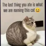 Can You Figure It Out in One Try With No Second Guesses?